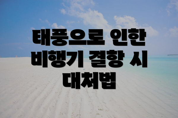 태풍으로 인한 비행기 결항 시 대처법