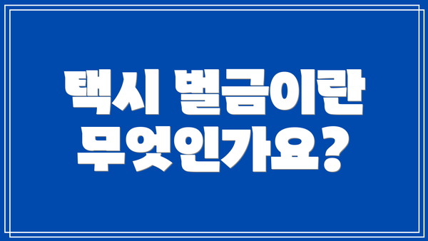 택시 벌금이란 무엇인가요?
