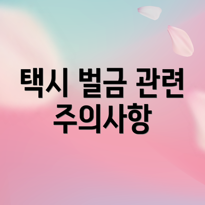 택시 벌금 관련 주의사항