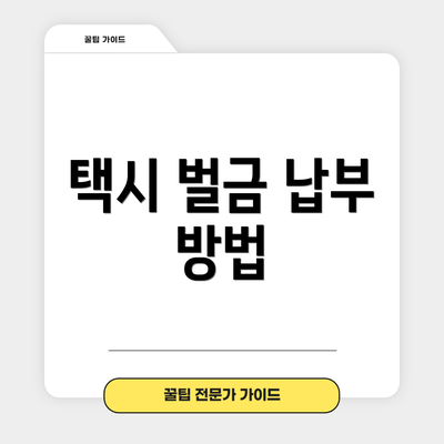 택시 벌금 납부 방법
