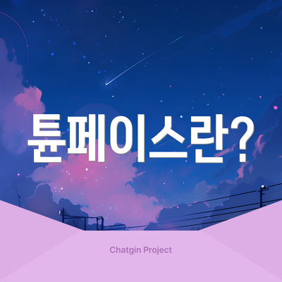 튠페이스란?