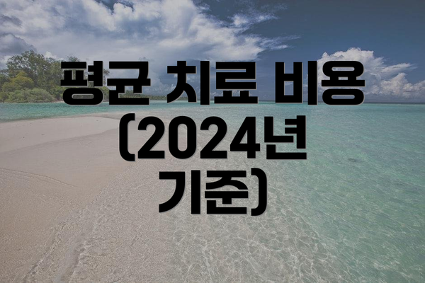 평균 치료 비용 (2024년 기준)