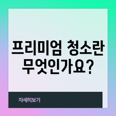 프리미엄 청소란 무엇인가요?