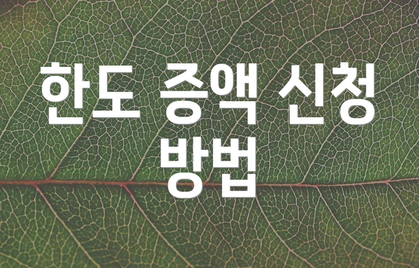 한도 증액 신청 방법