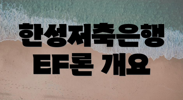 한성저축은행 EF론 개요