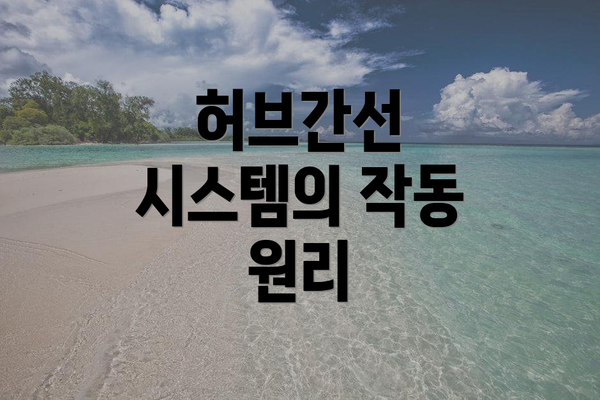 허브간선 시스템의 작동 원리