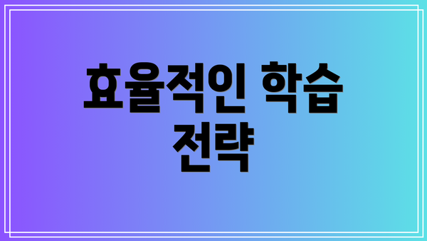 효율적인 학습 전략