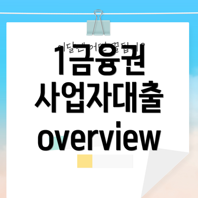 1금융권 사업자대출 overview