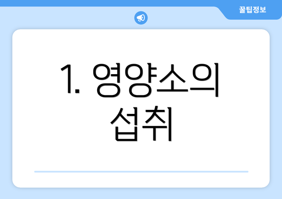 1. 영양소의 섭취