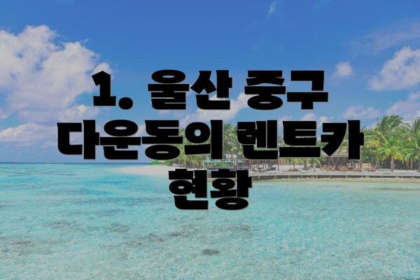 1. 울산 중구 다운동의 렌트카 현황