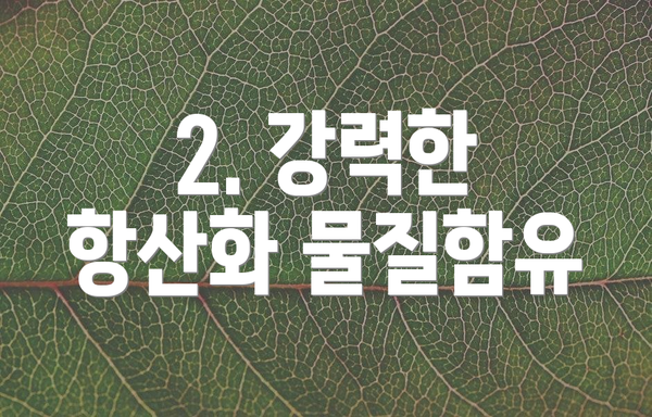 2. 강력한 항산화 물질함유
