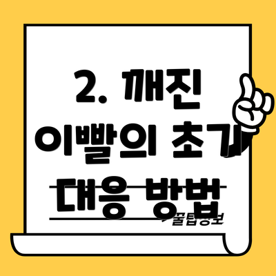 2. 깨진 이빨의 초기 대응 방법