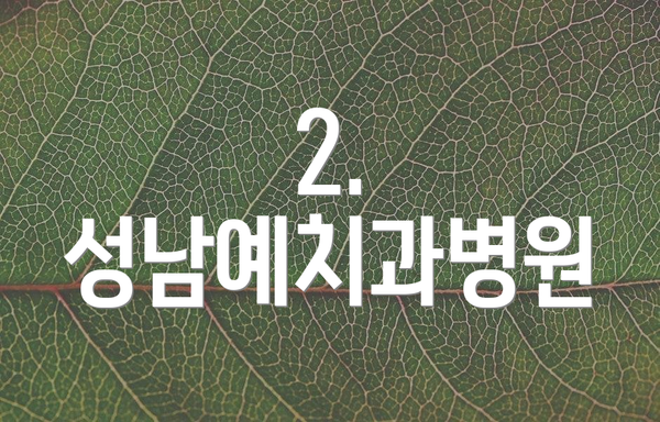 2. 성남예치과병원