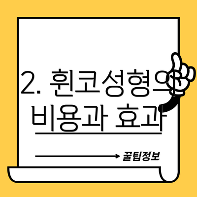 2. 휜코성형의 비용과 효과
