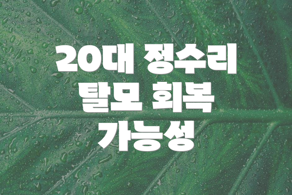 20대 정수리 탈모 회복 가능성