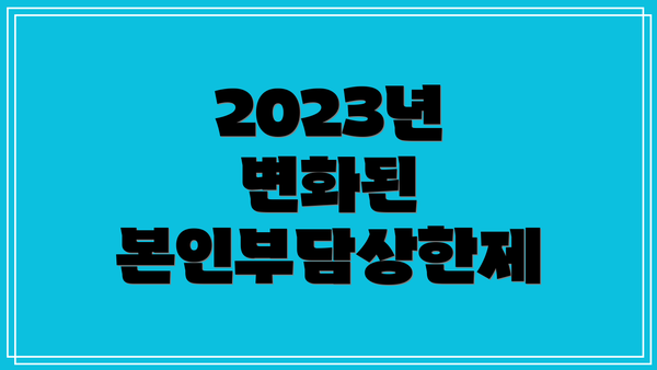 2023년 변화된 본인부담상한제