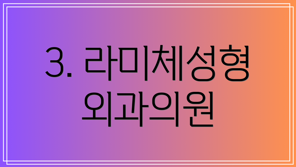 3. 라미체성형외과의원