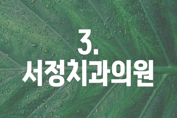 3. 서정치과의원