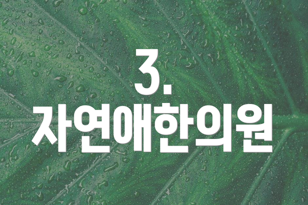 3. 자연애한의원