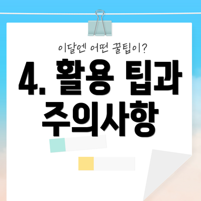4. 활용 팁과 주의사항