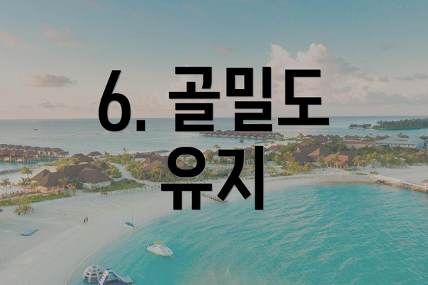 6. 골밀도 유지