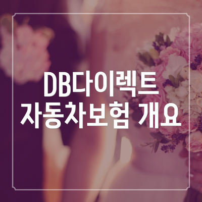 DB다이렉트 자동차보험 개요