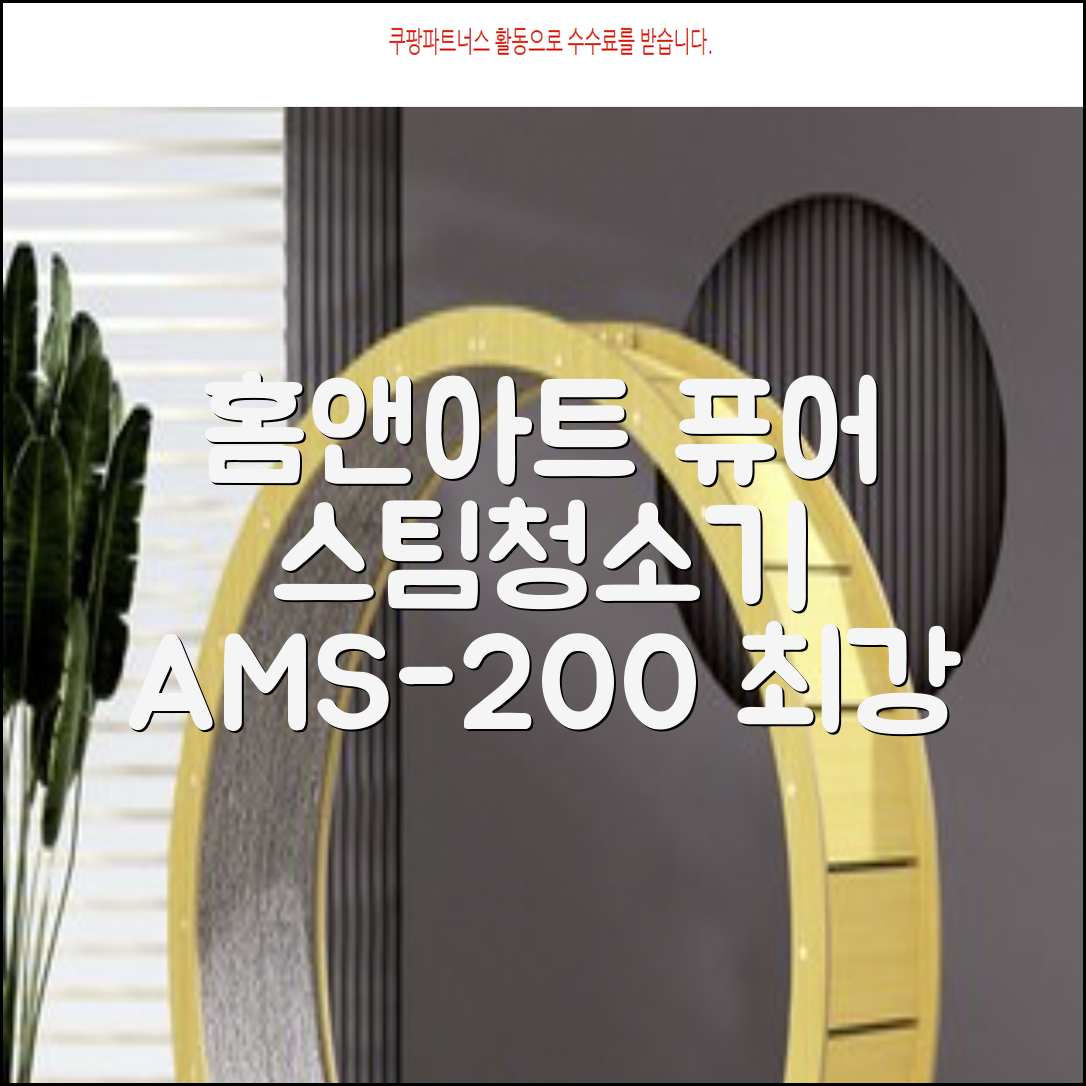 홈앤아트 퓨어 스팀청소기 AMS-200 추천 리뷰