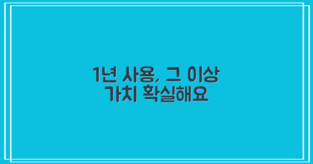 1년 사용, 그 이상의 가치