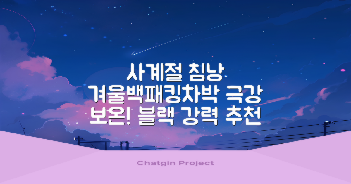 캠핑 침낭 사계절 동계 겨울 백패킹 베이스 슬리핑백 차박 이불, 1개, 블랙 추천 리뷰