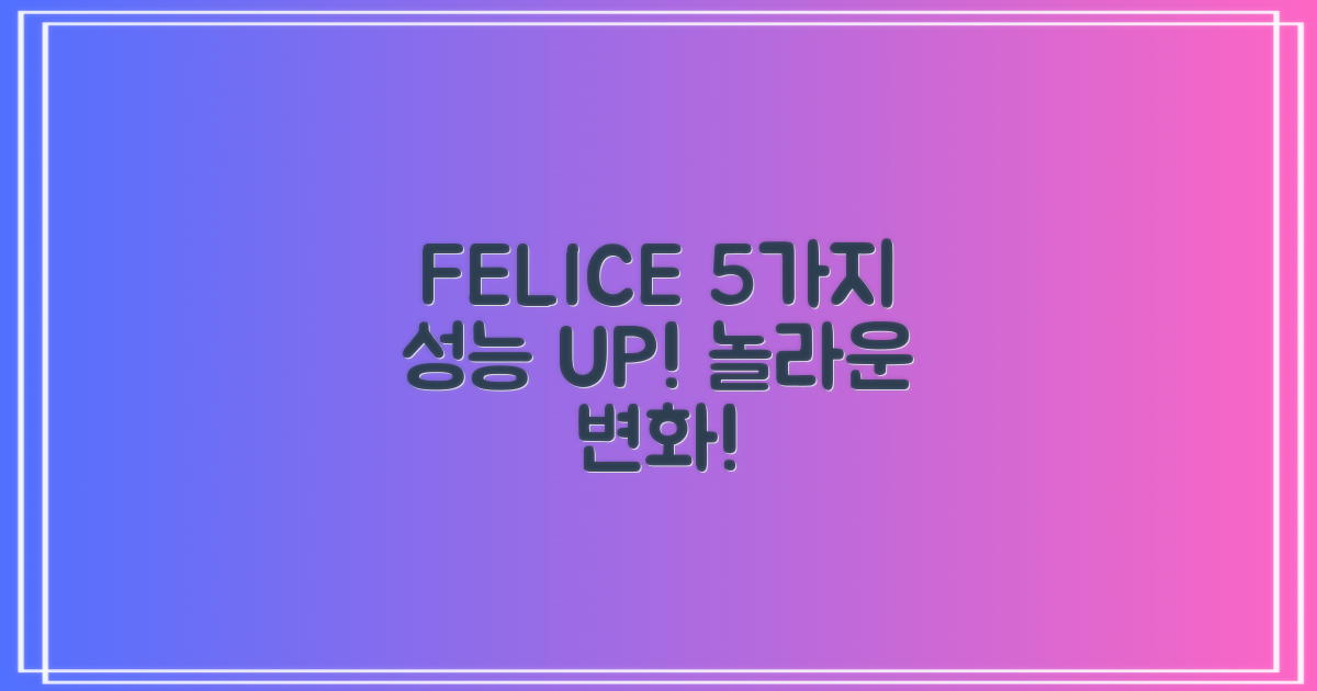 FELICE 장비, 5가지 성능 업그레이드