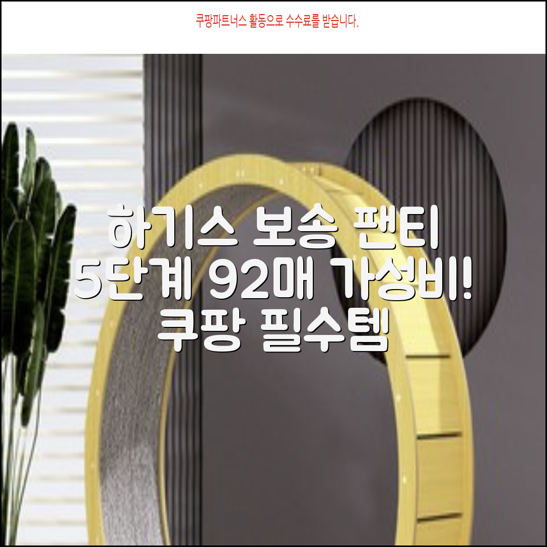 하기스 NEW 보송보송 팬티형 기저귀 공용, 5단계, 92매 추천 리뷰