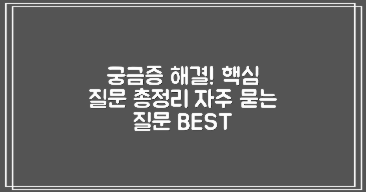 자주 묻는 질문