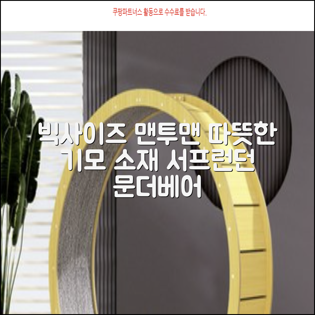 서프런던 문더베어 오버핏 빅사이즈 기모 맨투맨 ZAMD_0012 추천 리뷰