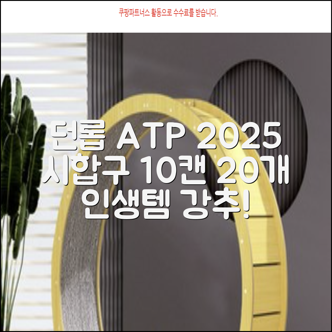 2025 던롭 ATP 테니스공 10캔 (20볼) 시합구, 던롭 ATP볼 10캔 (20볼), 10세트 추천 리뷰