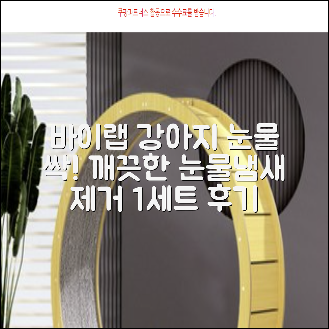 바이랩 강아지 눈물자국 눈 눈물냄새 세정 아이클리너, 40ml, 1세트 추천 리뷰