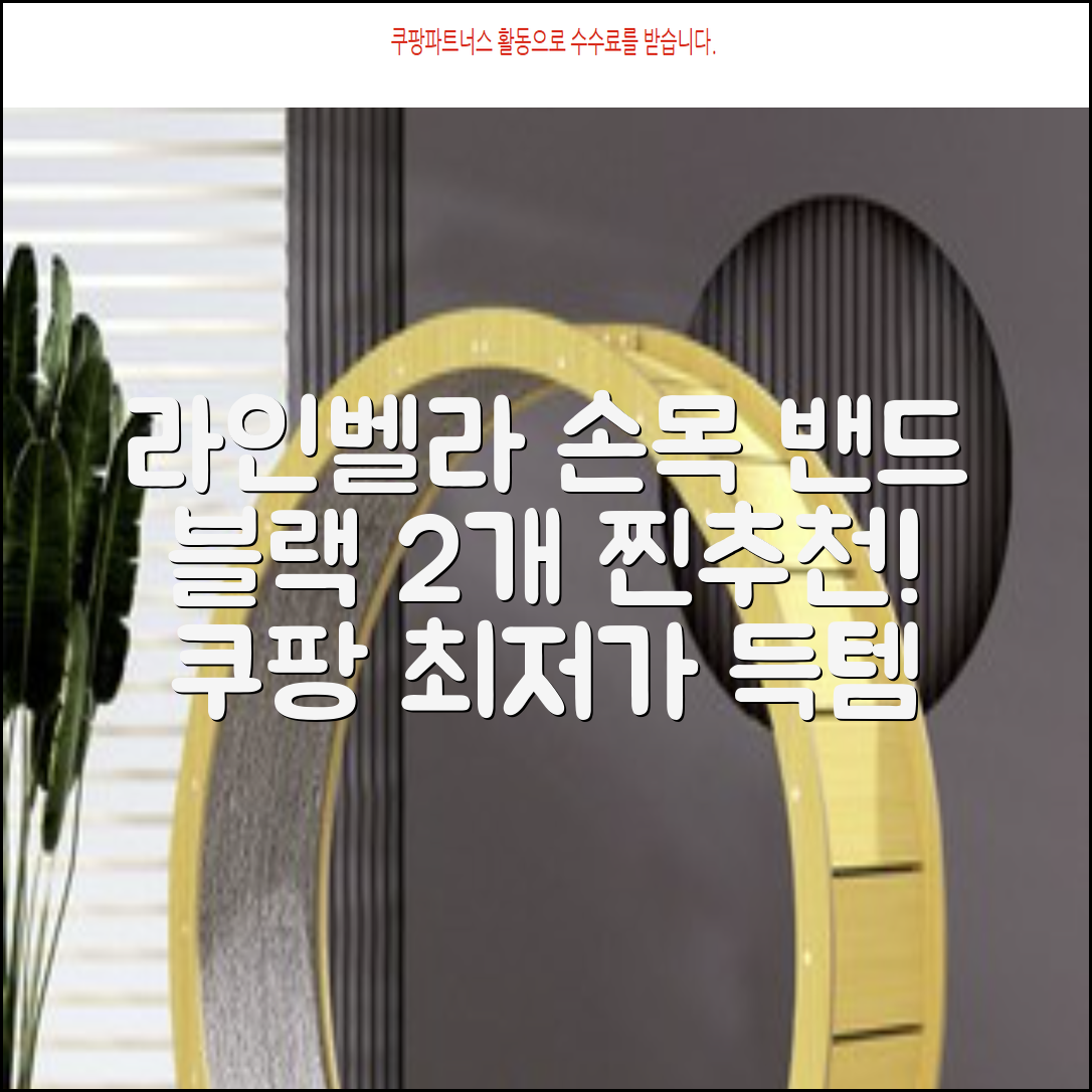라인벨라 의료용 손목 압박용 밴드 블랙, 2개 추천 리뷰