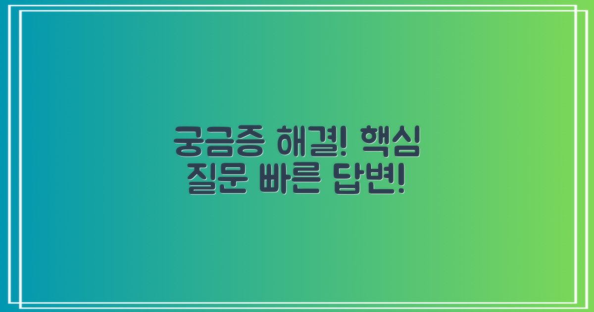 자주 묻는 질문
