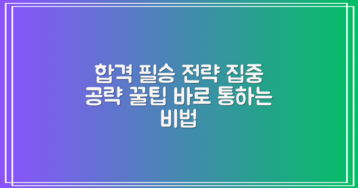합격 전략 집중 공략