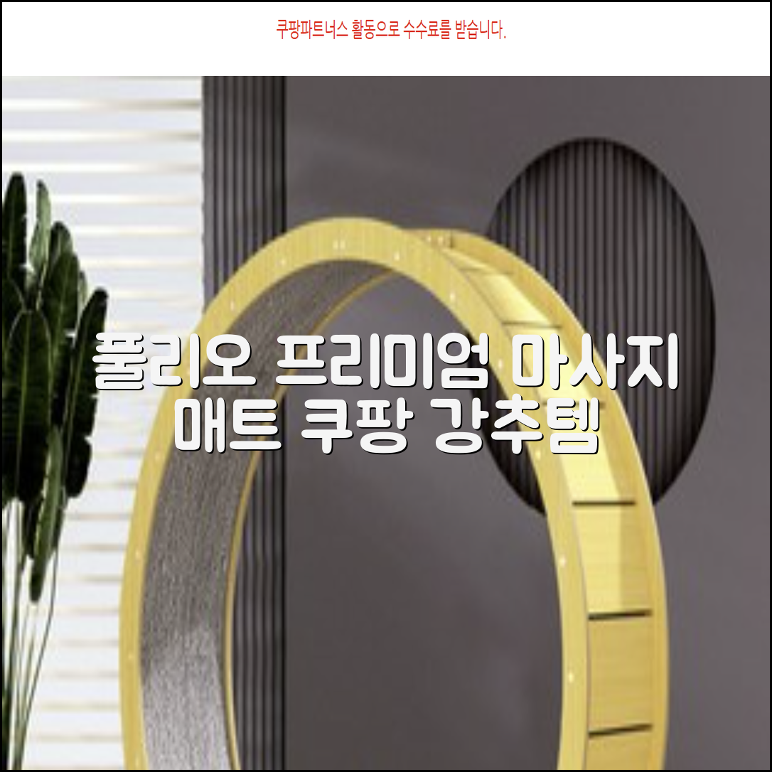 [풀리오 본사] 풀리오 프리미엄 마사지 매트 추천 리뷰