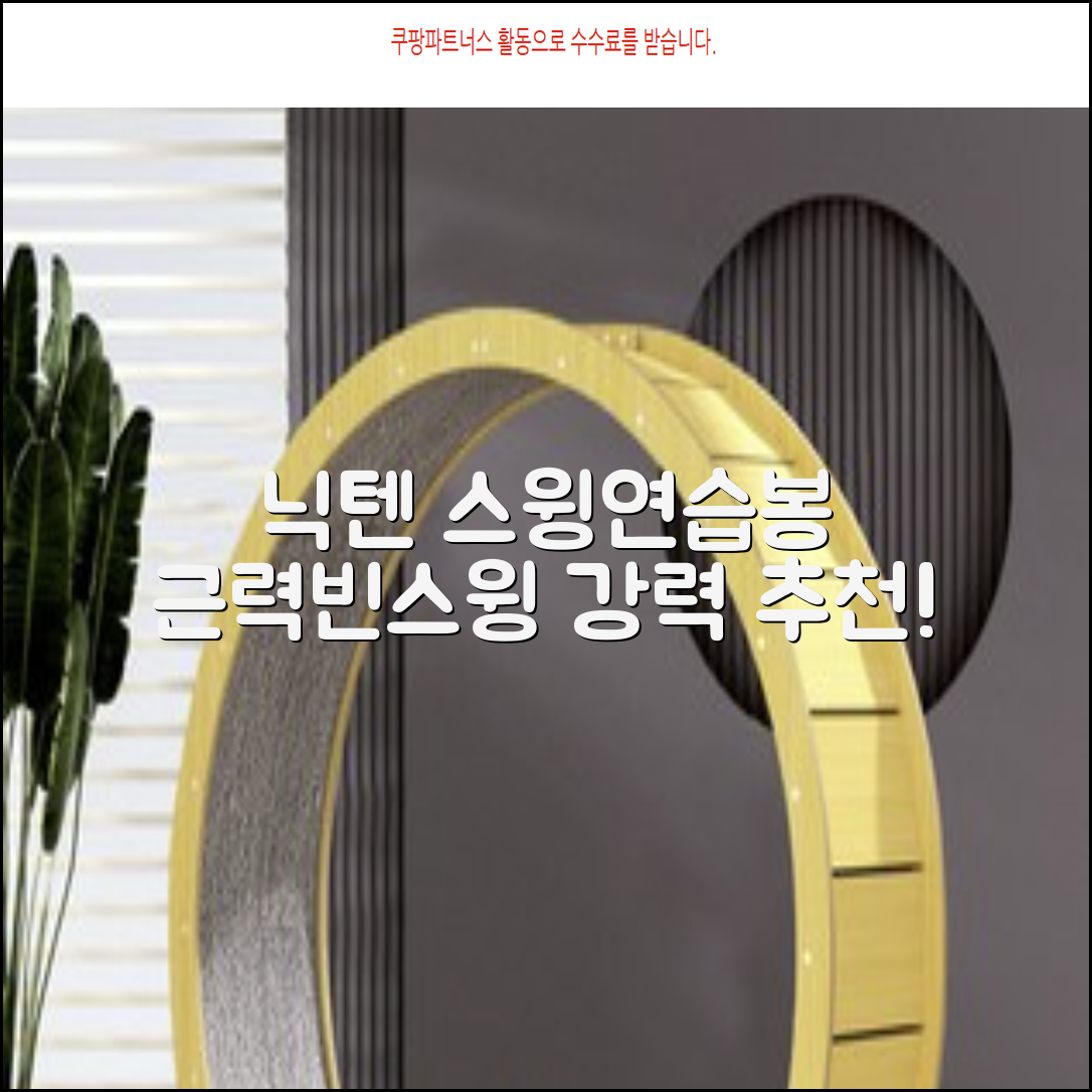닉텐 배드민턴 스윙연습봉 - 근력강화 및 빈스윙연습, 1개, 스윙연습기 추천 리뷰