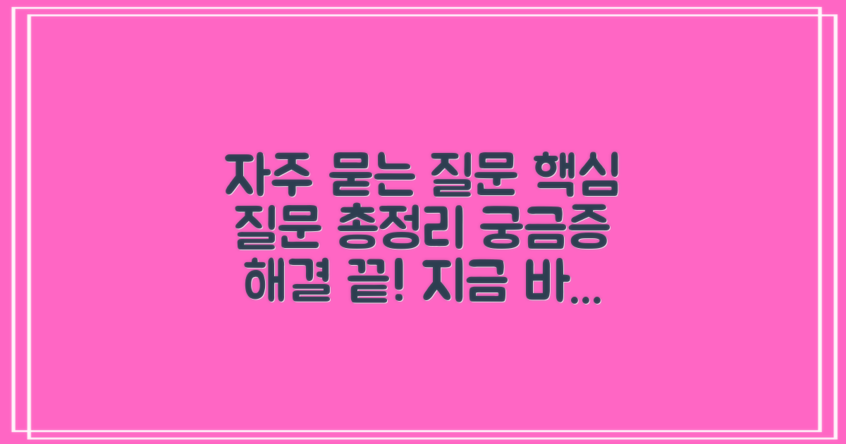 자주 묻는 질문