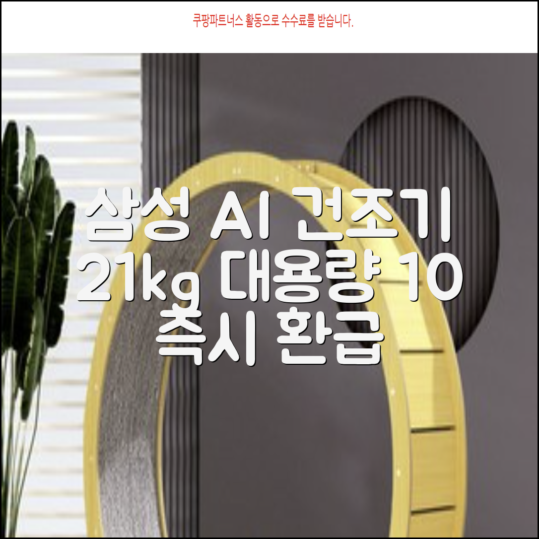 [10% 환급가전] 삼성전자 AI 건조기 DV21DG8200BW 21kg 방문설치, 화이트 추천 리뷰