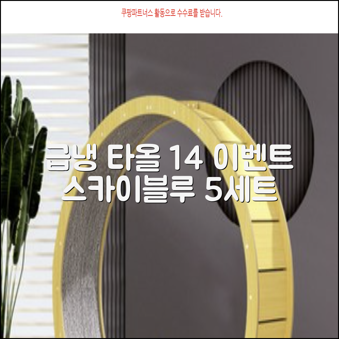 [쿠팡입점 1+4 이벤트] 아이스 쿨링 스포츠타올 건식 급냉 타올, 5세트, 스카이블루 추천 리뷰