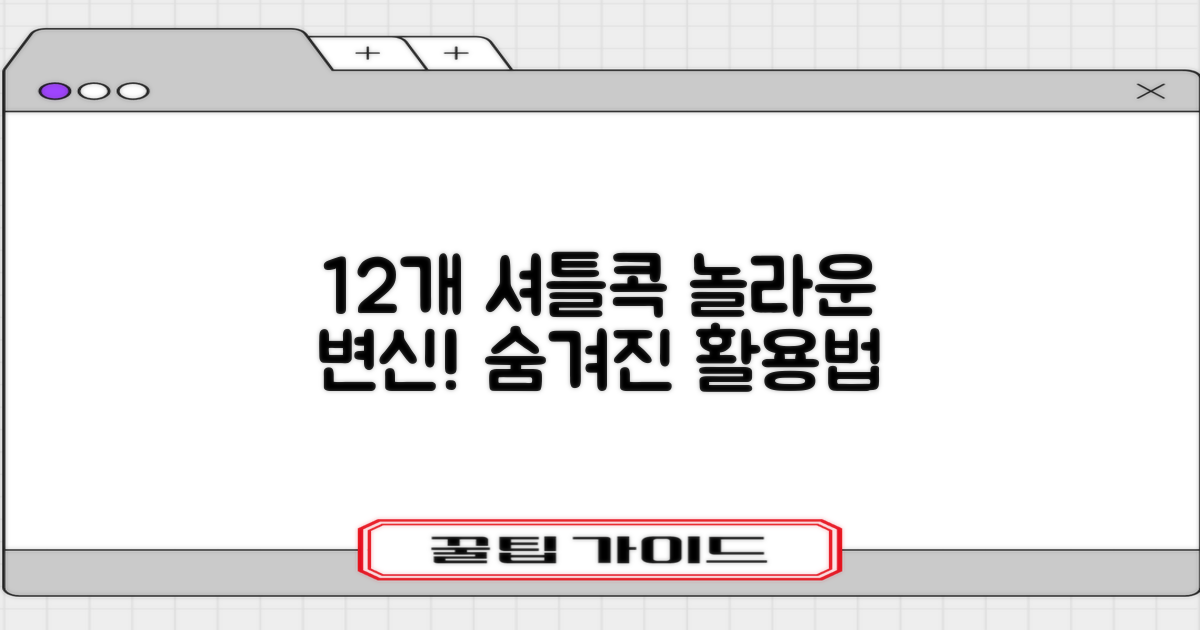 12개입 셔틀콕, 이렇게 활용