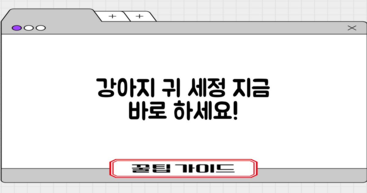 지금 바로 강아지 귀 세정하세요