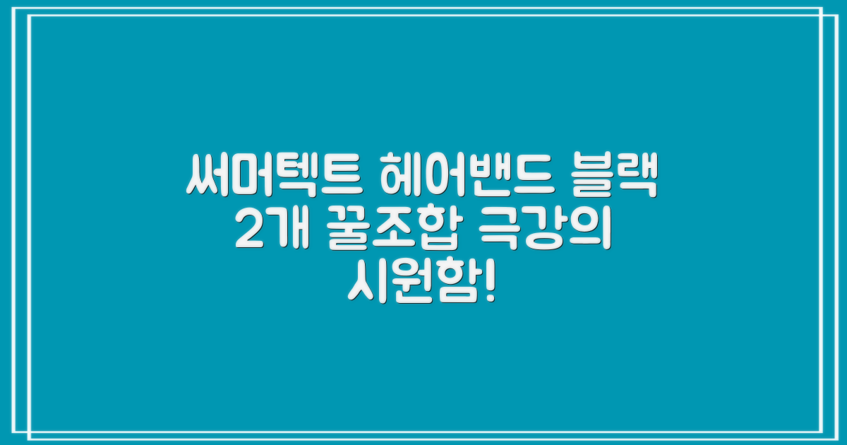 써머텍트 기능성 헤어밴드, 블랙, 2개 추천 리뷰