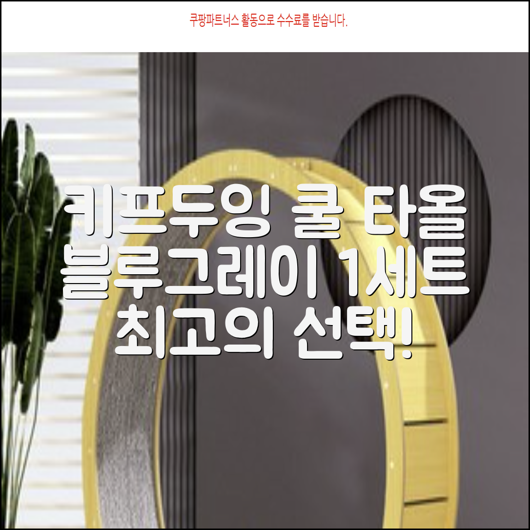 키프두잉 건식 스포츠 쿨 타올 케이스, 블루 + 그레이, 1세트 추천 리뷰